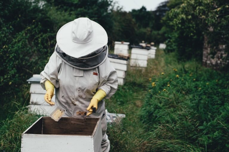 Saving Bees Through Local Conservation