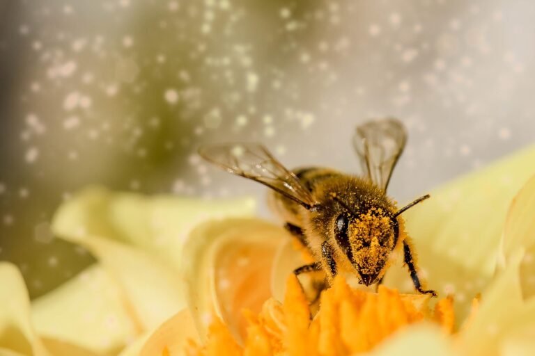 The Secret Symphony of Buzz Pollination