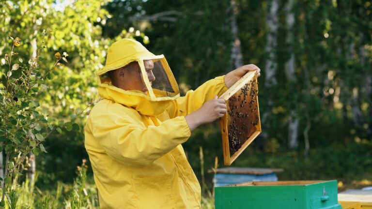Monitoring Bee Populations Locally